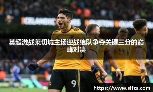 英超激战莱切城主场迎战狼队争夺关键三分的巅峰对决