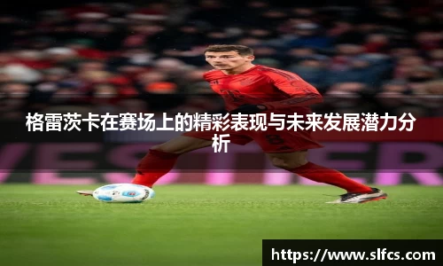 格雷茨卡在赛场上的精彩表现与未来发展潜力分析
